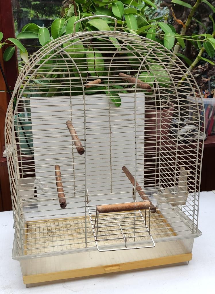 Grote Vogelkooi, Enlèvement, Cage à oiseaux