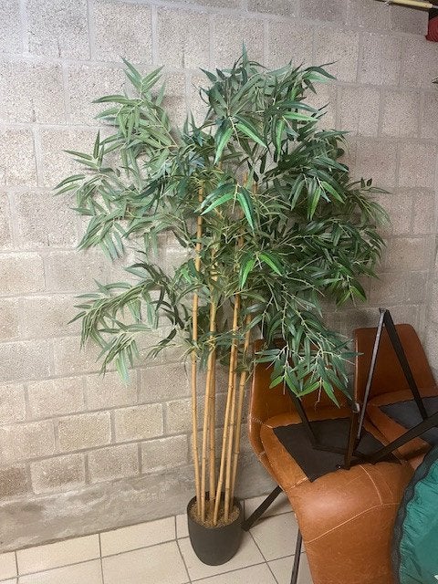 Kunststof plant, Enlèvement