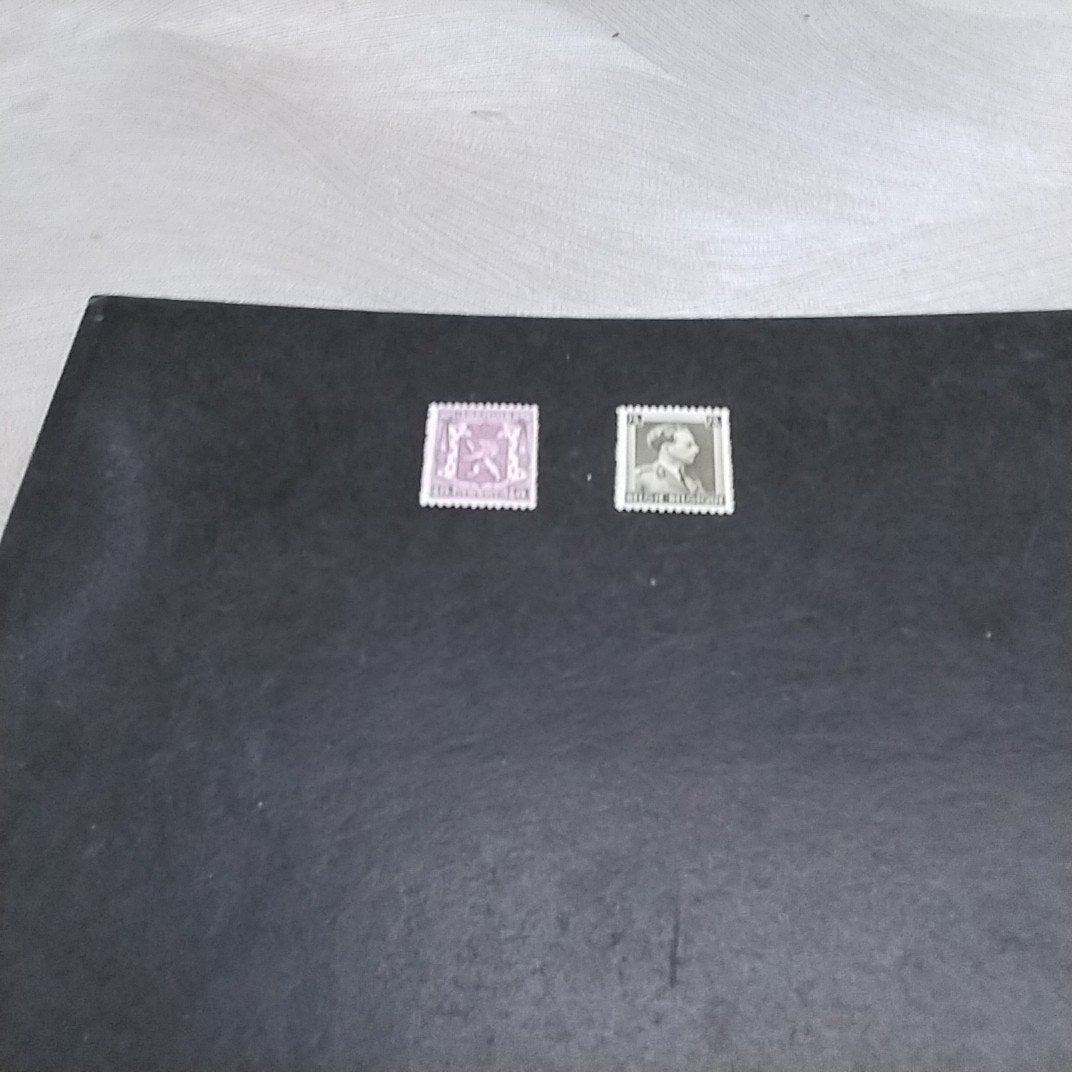 BELGIE  479/480 postfris met cote 2,00 €, Postzegels en Munten, Ophalen of Verzenden, Postfris