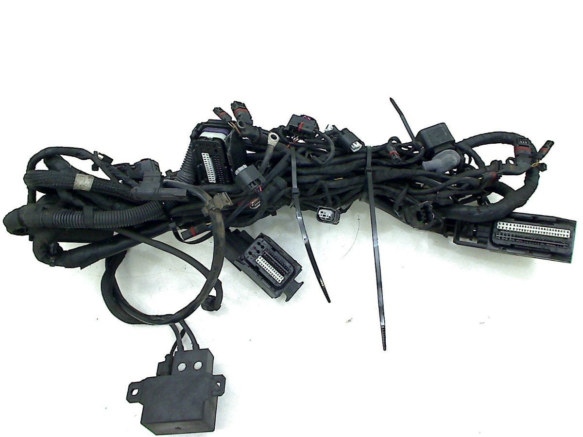 KABELBOOM BMW F 800 GS 2008-2012 (F800GS 08), Motoren, Dhr. S. di Majo, Gebruikt, Info@cama-motorparts.nl, P.J. Troelstraweg 8 8
3144 CX  MAASSLUIS, NL