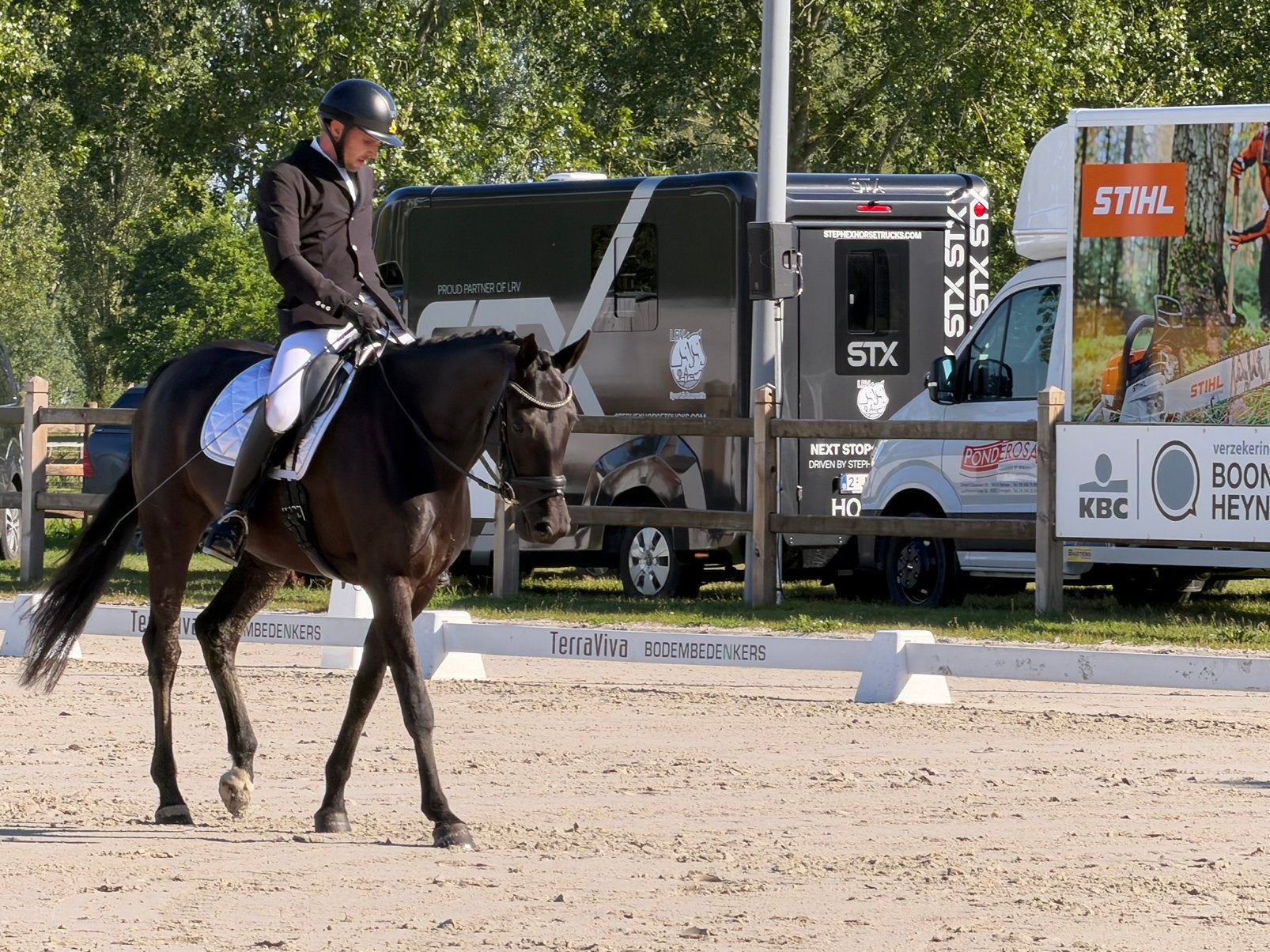 Mooie brave 5 jarige premium oldenburger merrie, Cheval de dressage, Avec pedigree, 165 à 170 cm, Jument