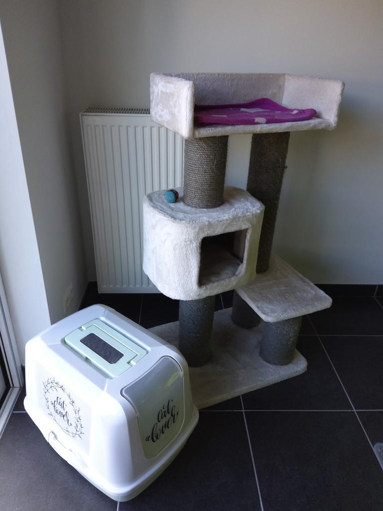 Krabpaal &kattenbak, Dieren en Toebehoren, Ophalen, Krabpaal