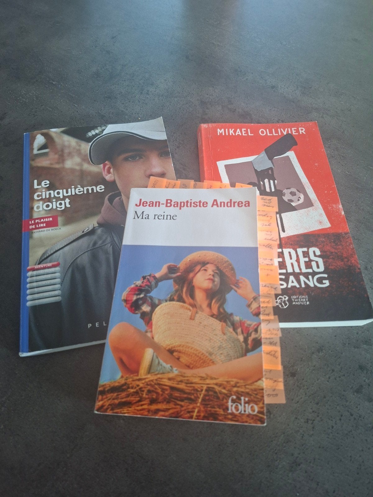 Le cinquième doigt - Frères de sang - Ma Reine, Boeken, Ophalen, Gelezen