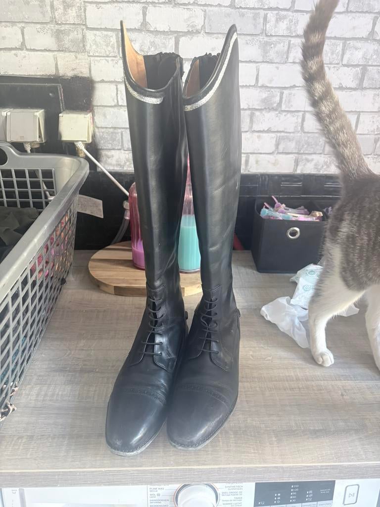 Paardenlaarzen, Dieren en Toebehoren, Paardrijkleding, Ophalen, Zo goed als nieuw