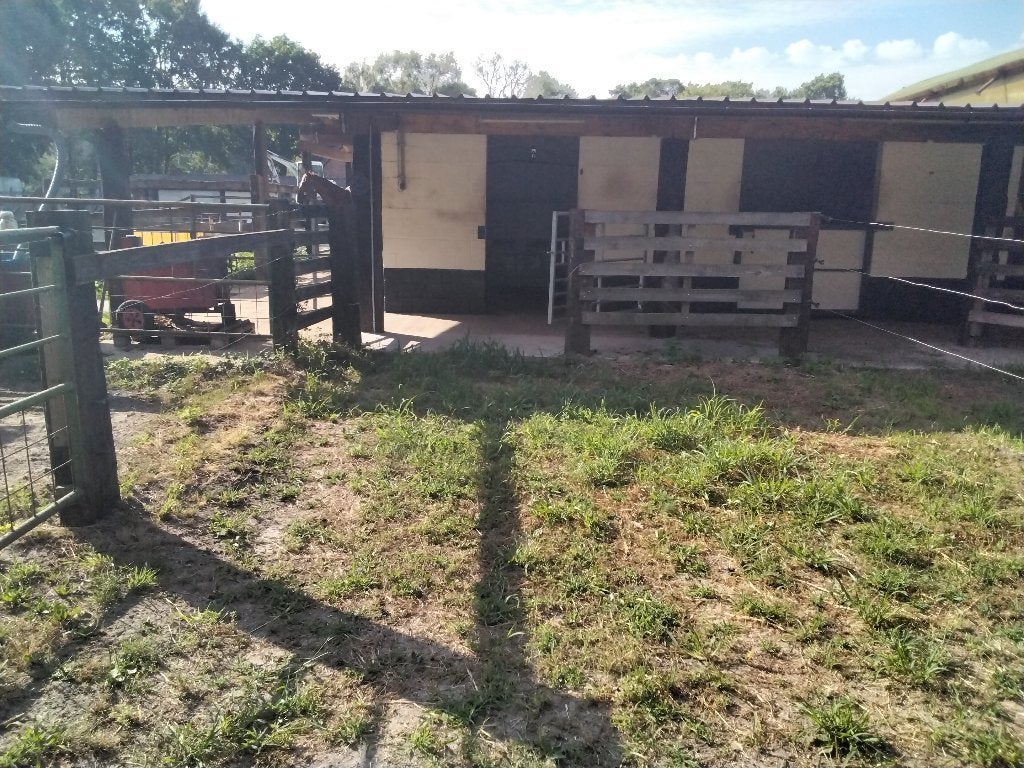 2 plaatsen te huur, Stalling, 2 of 3 paarden of pony's