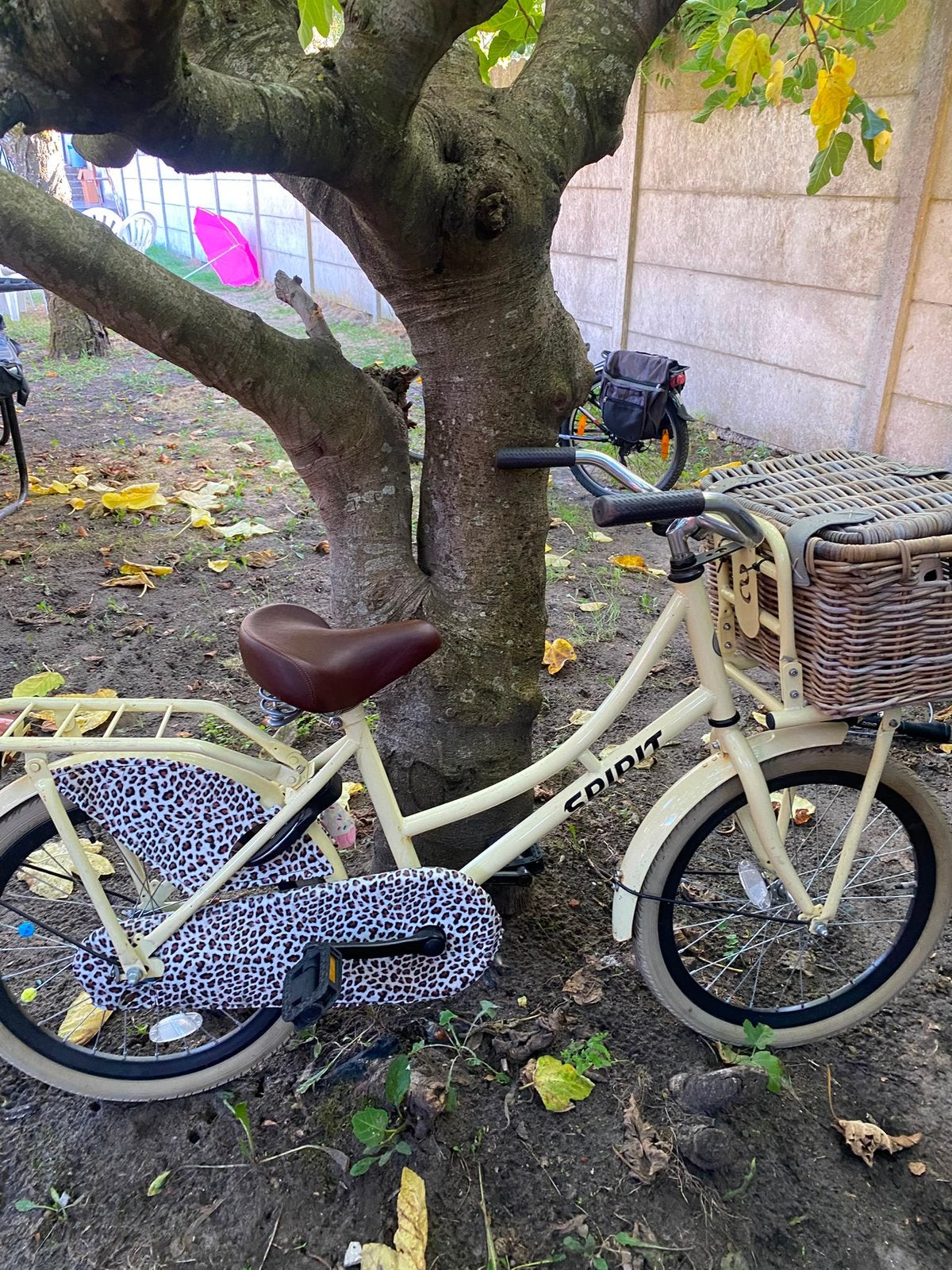 Meisjesfiets maat 24, Fietsen en Brommers, Ophalen, Gebruikt, Terugtraprem, 24 inch