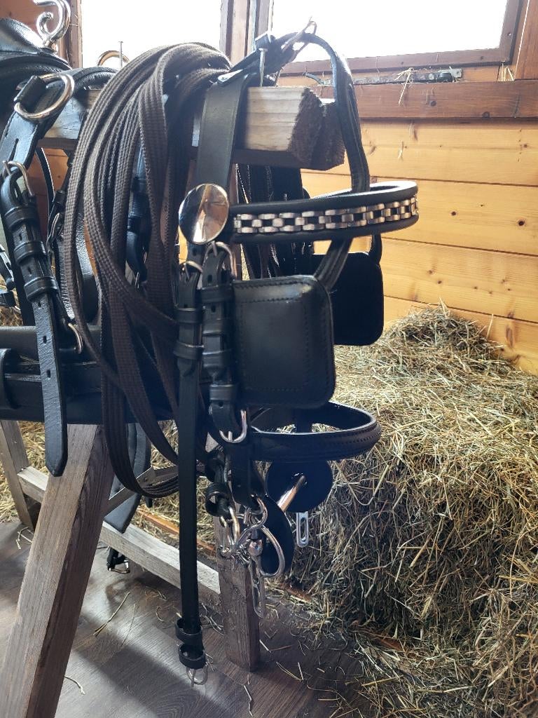 Mini shetlander mentuig, Dieren en Toebehoren, Rijtuigen en Koetsen, Zo goed als nieuw, Overige typen, Pony, Gesloten