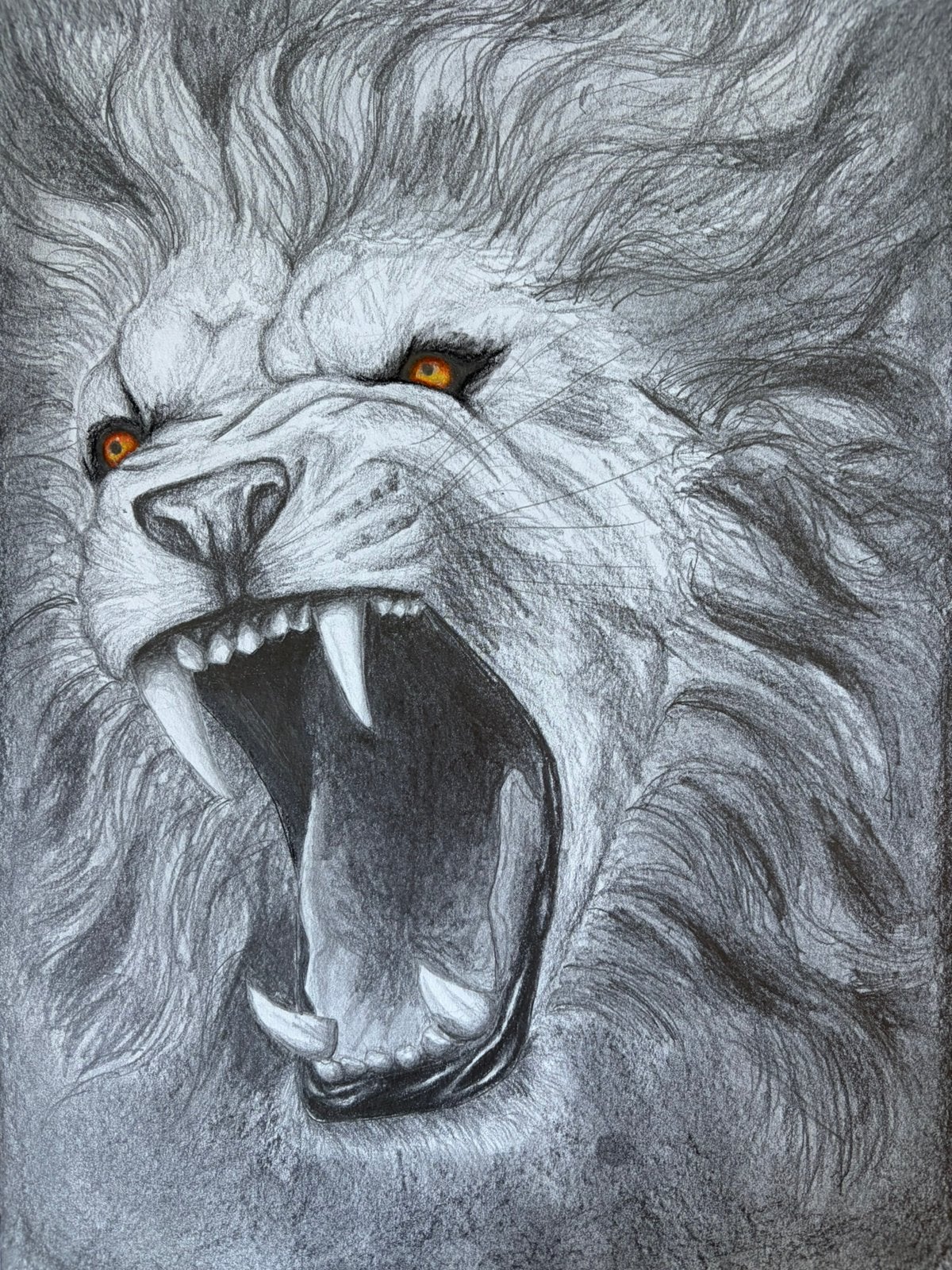 Illustration lion A3, Ophalen of Verzenden, Tekening, Potloodtekening, Gesigneerd