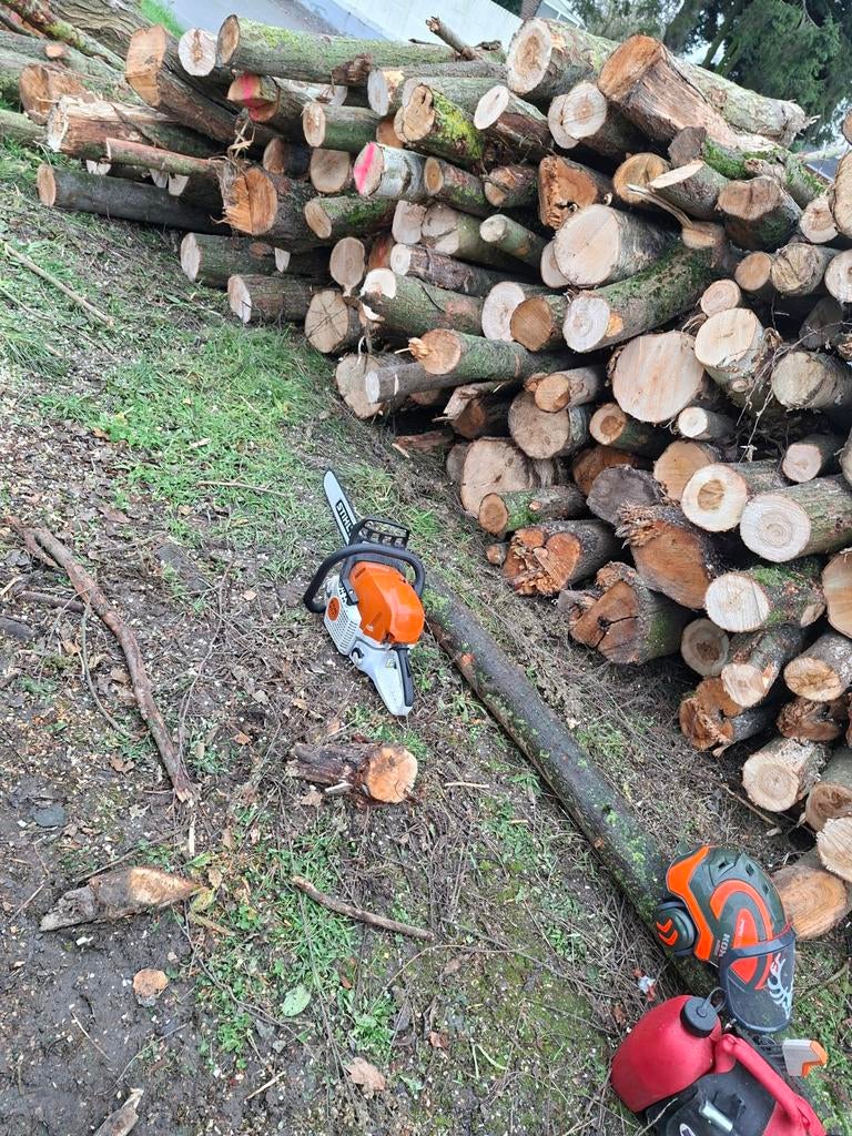 Stihl MS 311, Ophalen of Verzenden