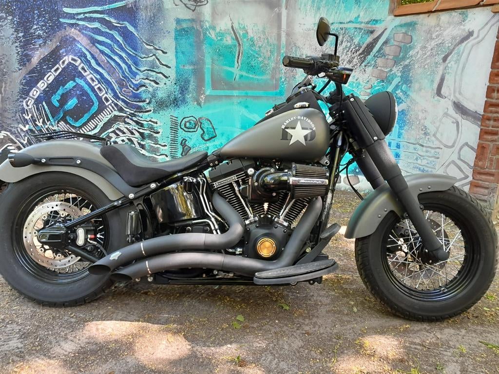 harley davidson softail slim s 110, Motoren, Particulier
