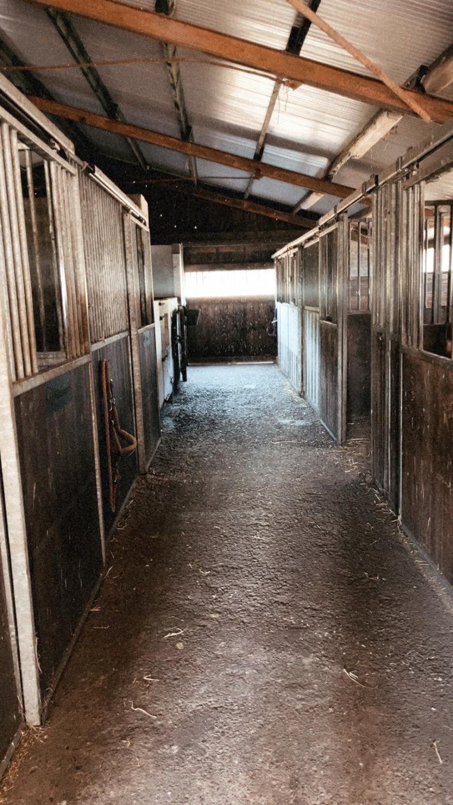 Volpension, Animaux & Accessoires, Mise à l'étable, 2 ou 3 chevaux ou poneys