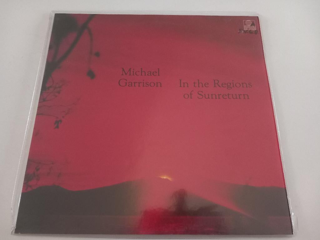 Vinyl LP Michael Garrison In the regions Ambient Synth, Ophalen of Verzenden, 12 inch
