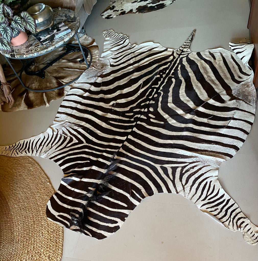 Zebravel tapijt, Ophalen, Zo goed als nieuw