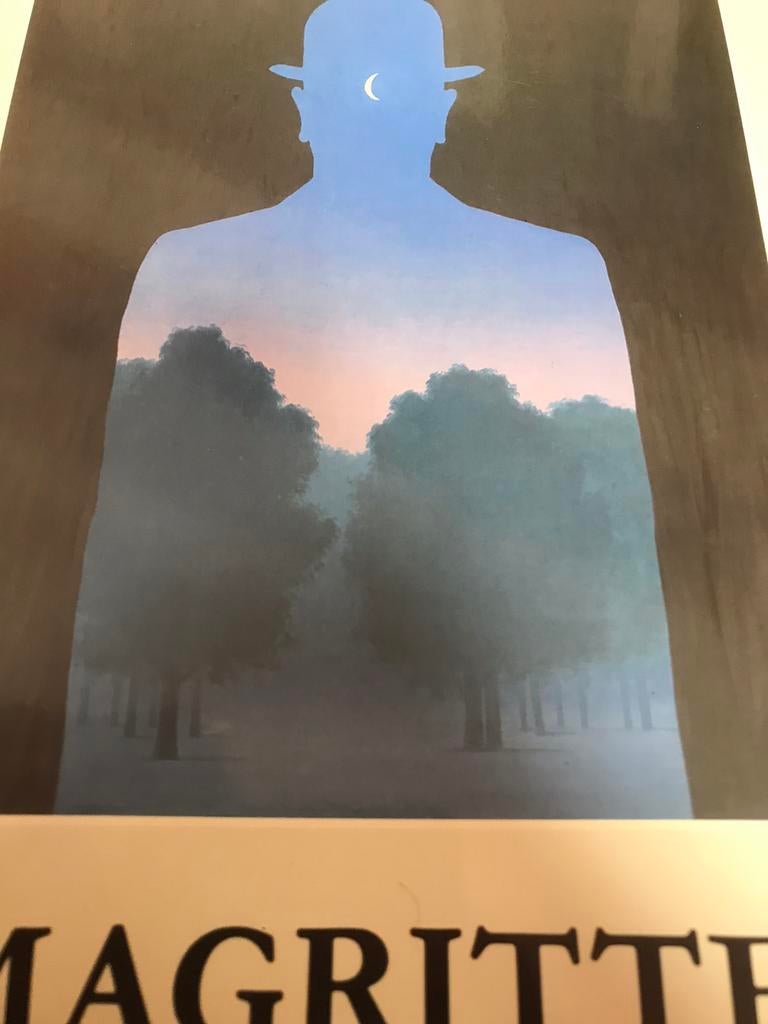 René Magritte (peintures, dessins, 200 pages), Enlèvement ou Envoi, Comme neuf, Peinture et dessin