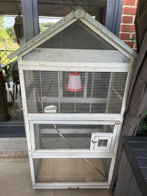 Cage oiseaux, Ophalen, Gebruikt, Hout