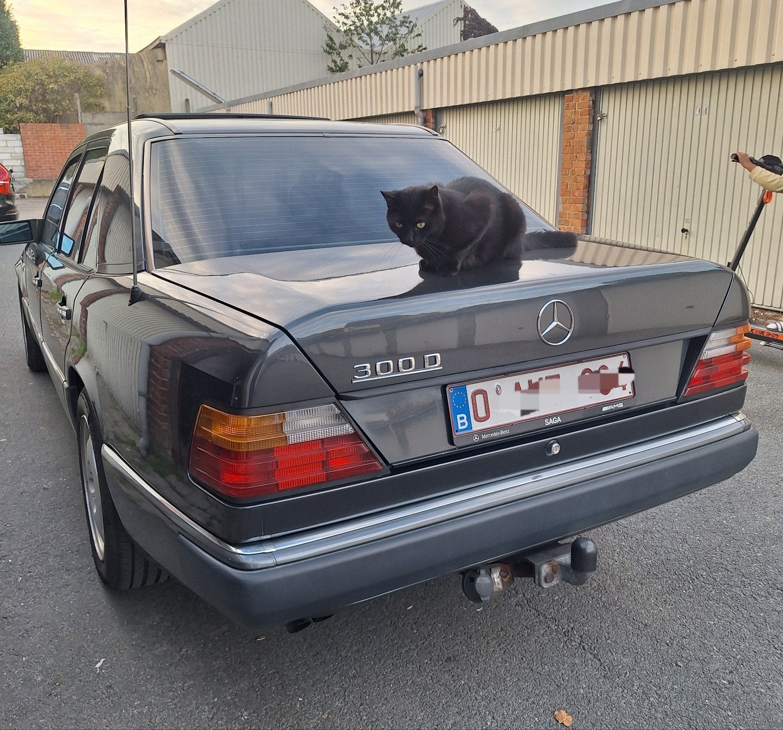 Mercedes-Benz w124 300D/6 cylindres *Automatique*, Achat, Particulier, Tissu, 3000 cm³
