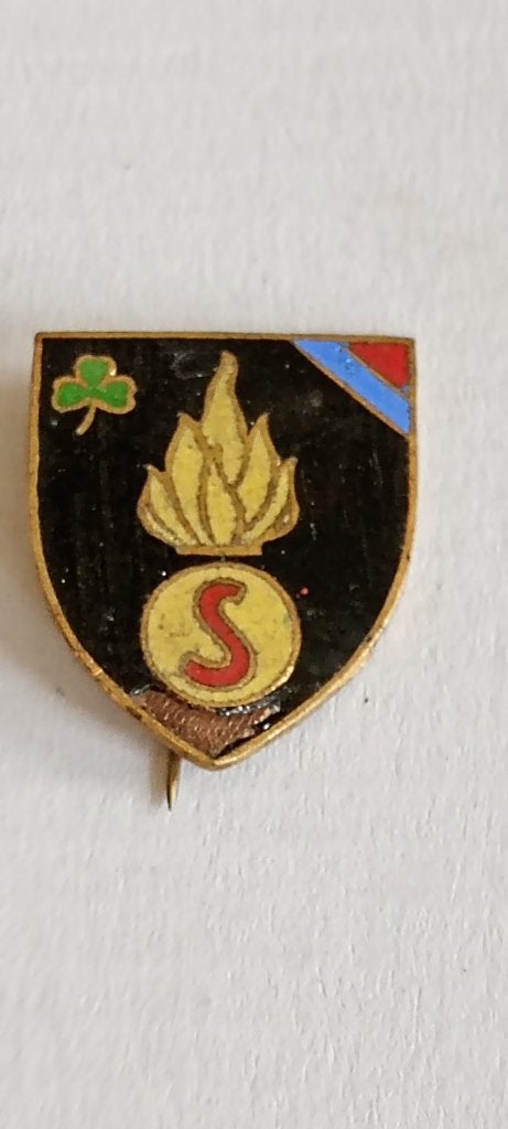 Épinglette brigade d'Irlande Steenstraete, Enlèvement ou Envoi, Autres