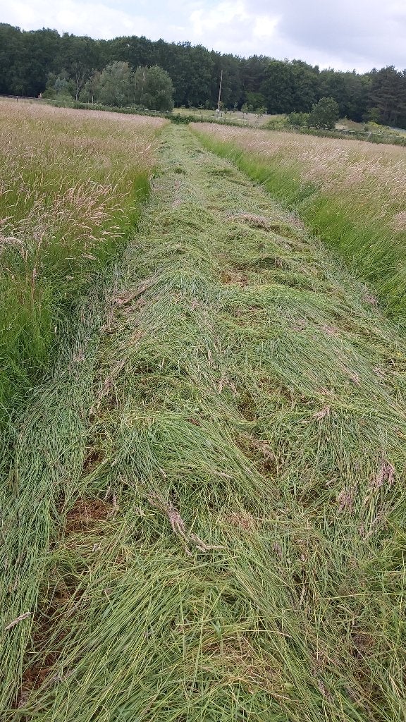 Hooi kleine pakjes, Dieren en Toebehoren, Dierenvoeding, Overige soorten, Ophalen