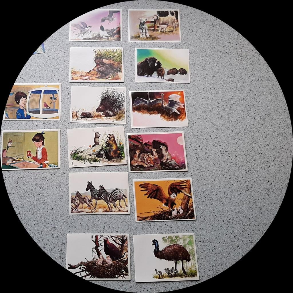 Vintage Panini dieren stickers jaren 70/80 lot 14 stuks, Verzamelen, Stickers, Ophalen of Verzenden