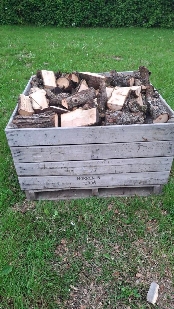Brandhout perenbomen, Tuin en Terras, Ophalen