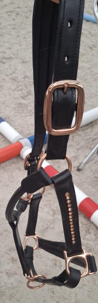 Leren halster voor paard maat full, Dieren en Toebehoren, Ophalen, Zo goed als nieuw