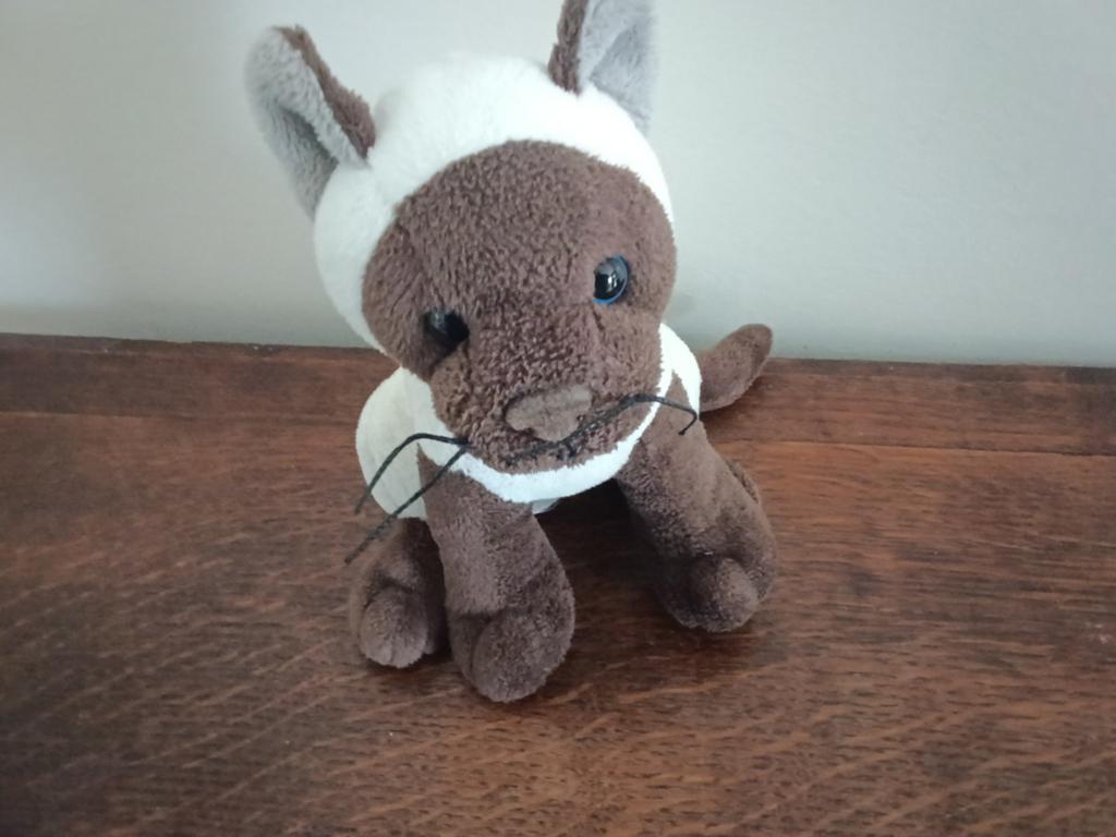 Peluche chat siamois  taille 10 cm a venir chercher, Enlèvement, Chat