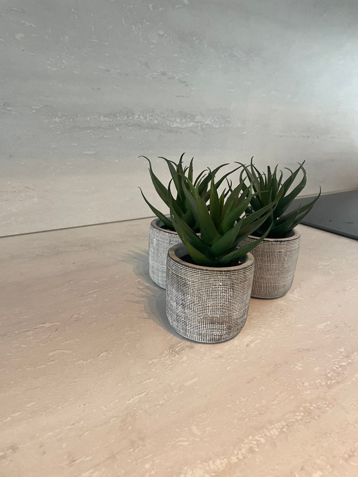 Ensemble de 3 plantes succulentes artificielles, Maison & Meubles, Plantes d'intérieur, Enlèvement ou Envoi