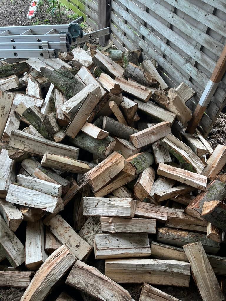 Brandhout wilg en populier, Tuin en Terras, Brandhout, Ophalen
