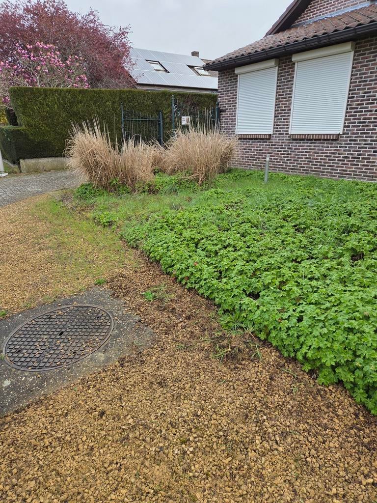 Tuinonderhoud