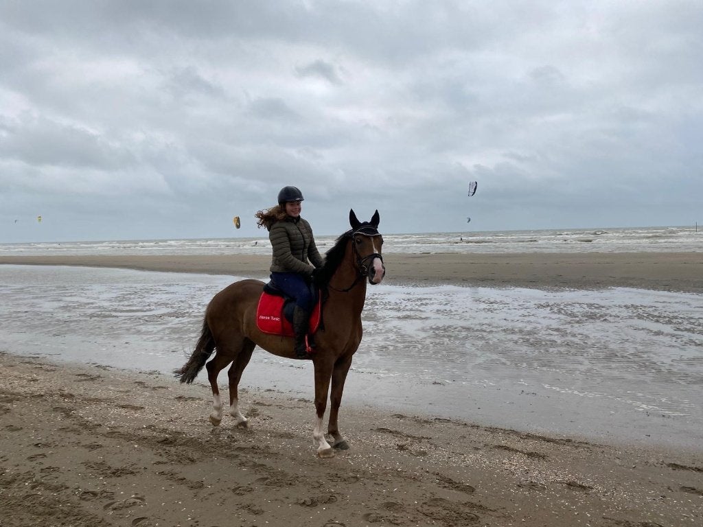 brave, allround pony, L, 7 tot 10 jaar, Recreatiepony, Merrie