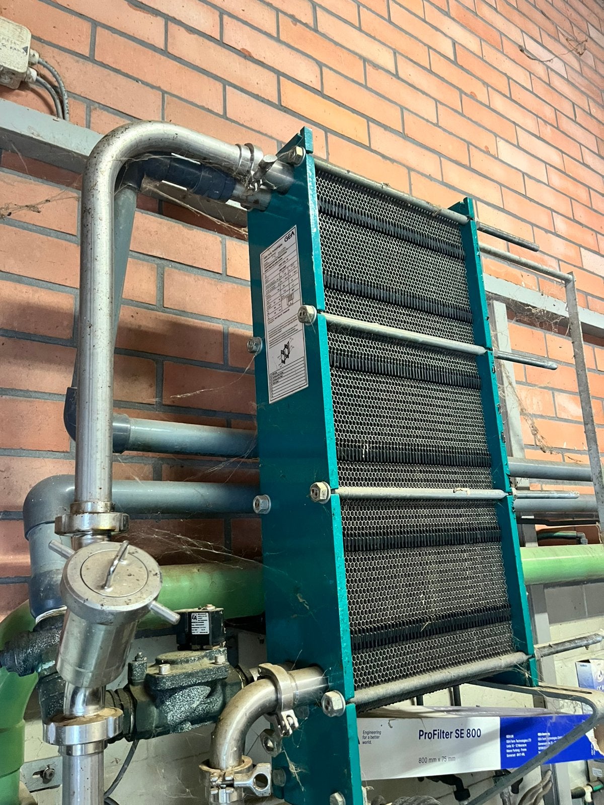 Platenkoeler gea, Dieren en Toebehoren
