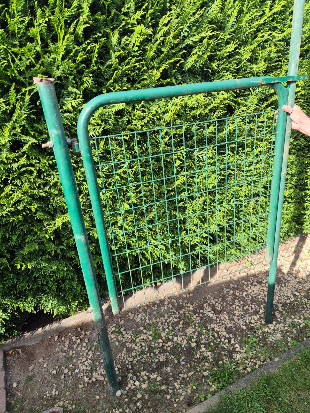tuinhekken groen, Ophalen
