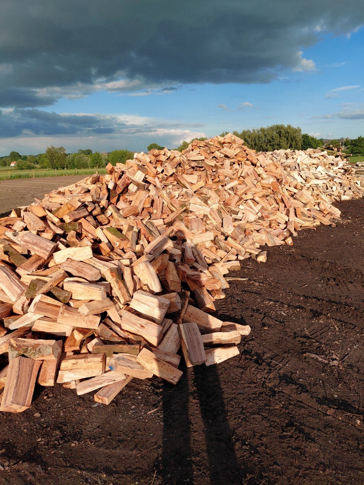 bois de chauffage à vendre, Enlèvement ou Envoi