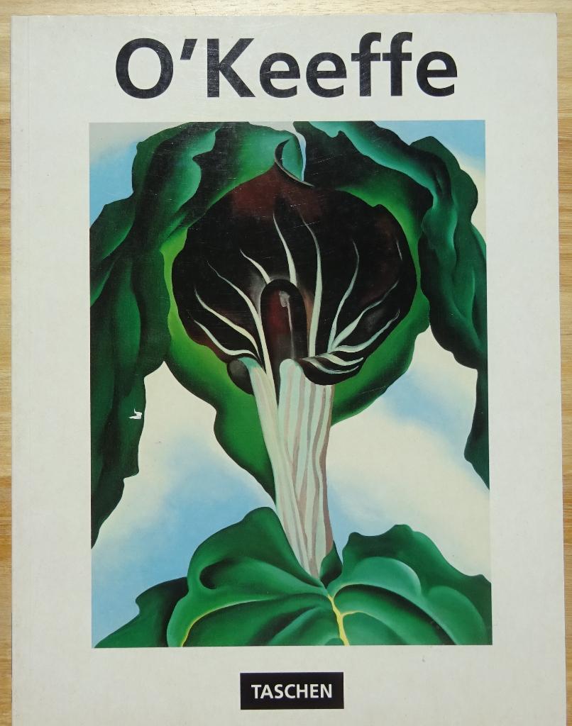 Georgia O'Keeffe, Taschen, 1995, monography, Boeken, Ophalen of Verzenden, Gelezen, Schilder- en Tekenkunst