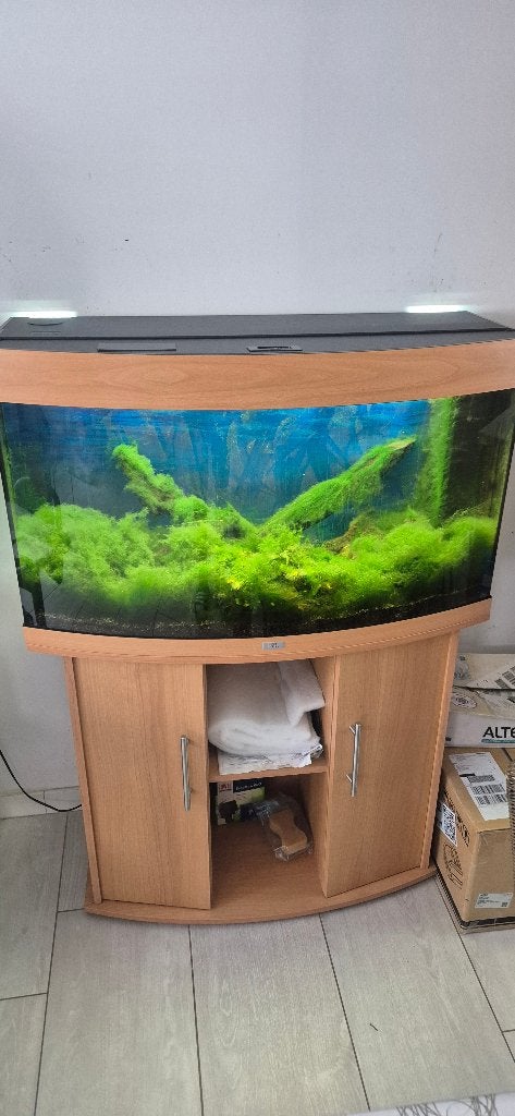 Aquarium Jewels Vision 180 Beech, Pompe, Enlèvement, Juwel, Meuble d'aquarium