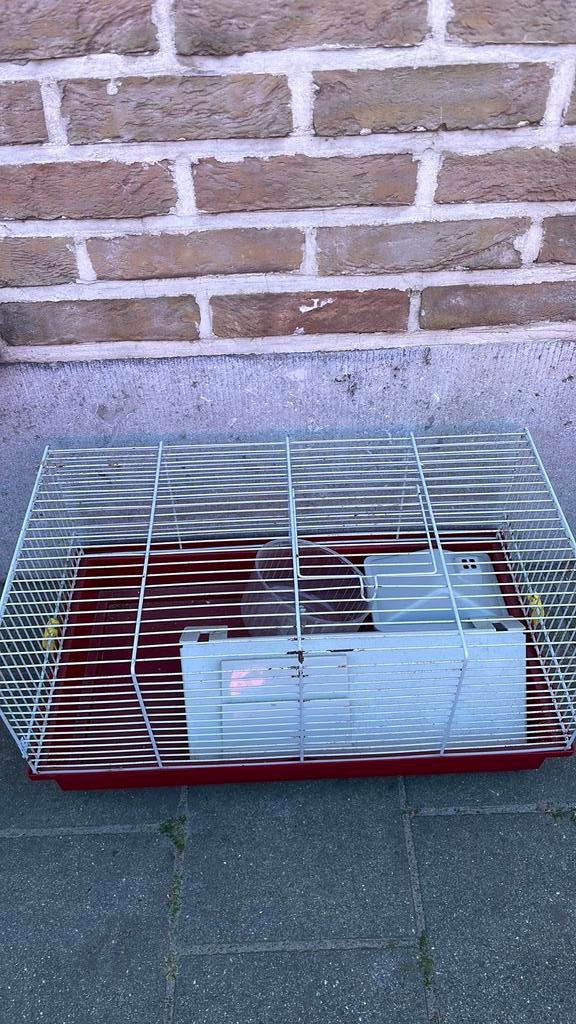 Hamsterkooi, Moins de 60 cm, Cage, Comme neuf, Hamster