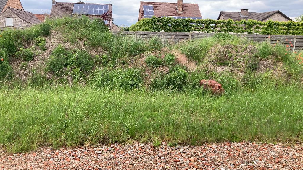 Gratis teelaarde en opvulgrond, Enlèvement, Terre pour jardin
