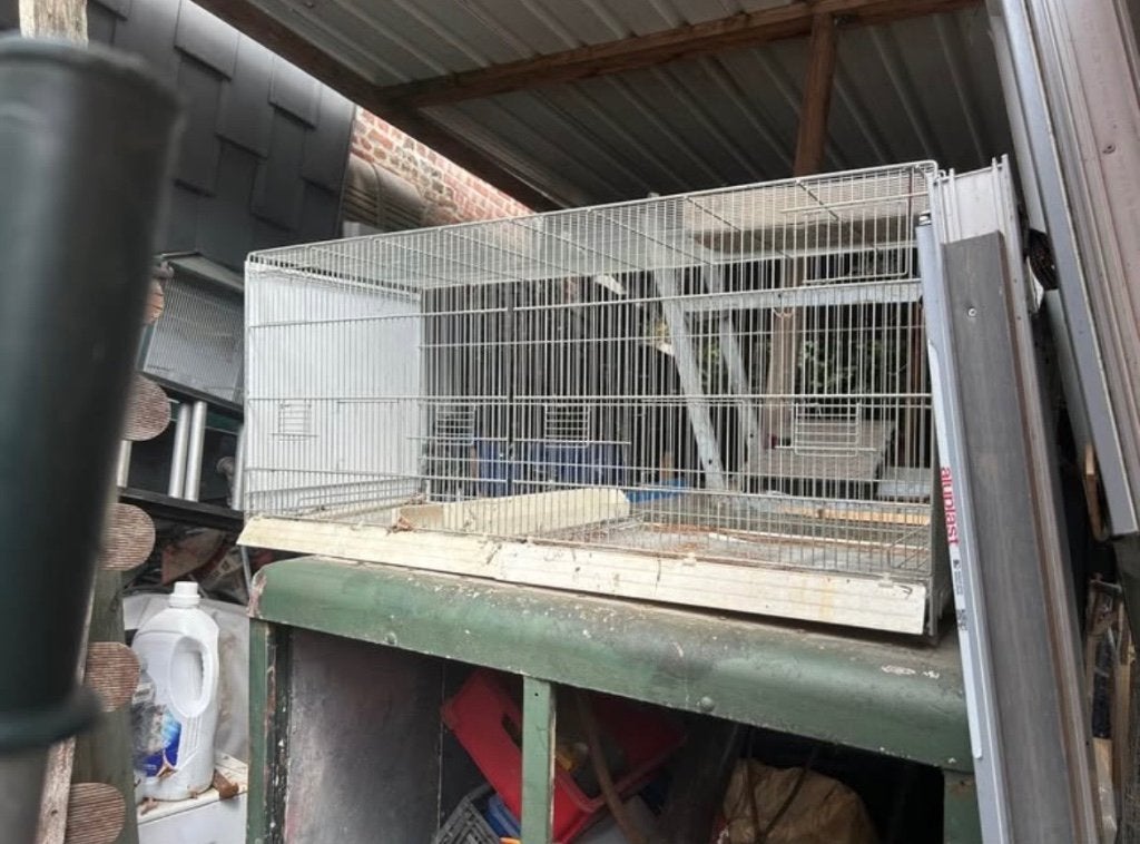 Cage oiseau domus molinaris, Animaux & Accessoires, Oiseaux | Cages & Volières, Enlèvement, Utilisé, Métal, Cage d'élevage