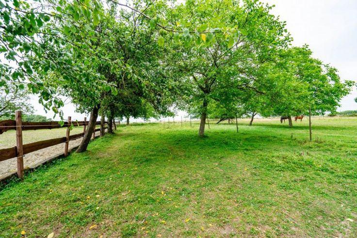 propriété equestre avec maison, Honnelles ( angre ), Province de Hainaut, 140 m², 1500 m² ou plus
