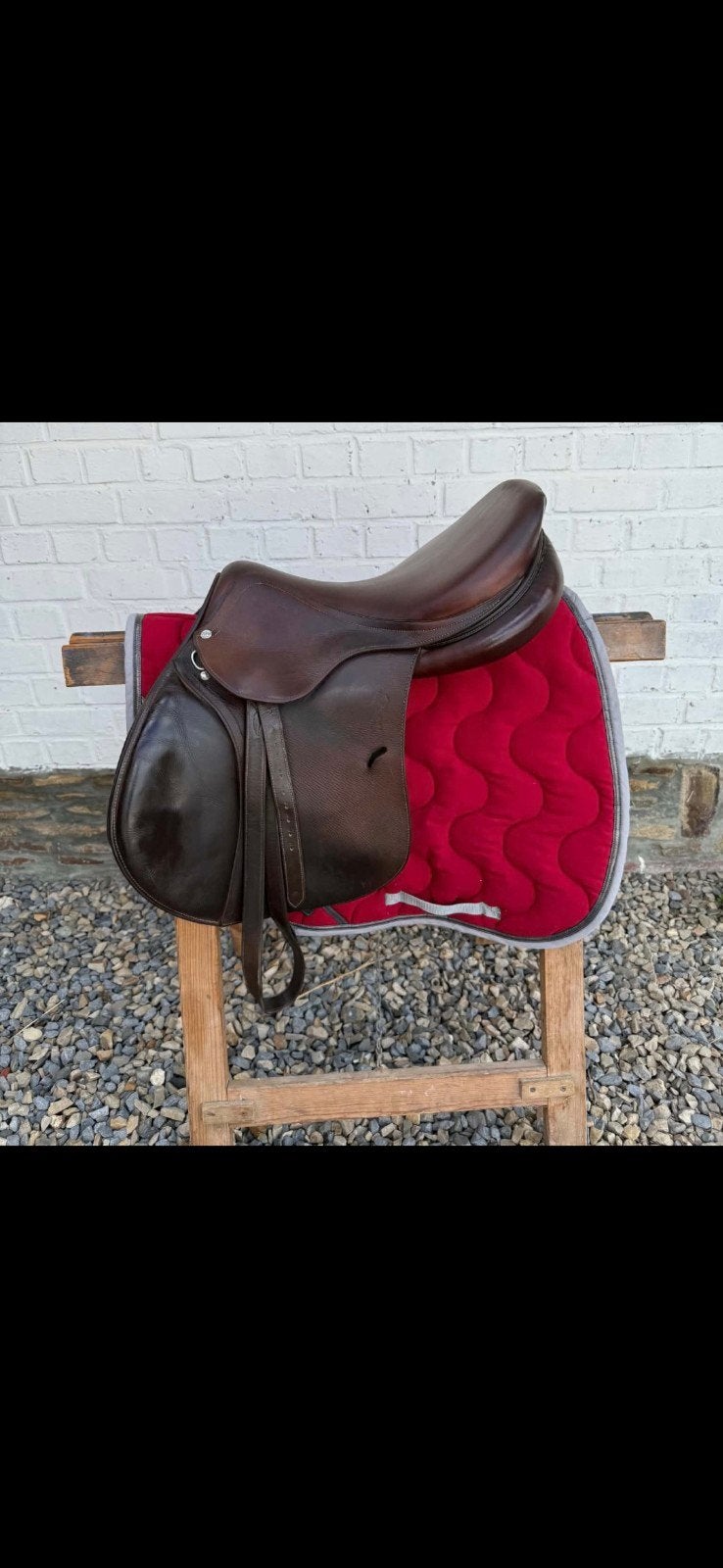 Selle Antares 2018, Étriers inclus, Concours complet, L (17.5 pouces), Enlèvement
