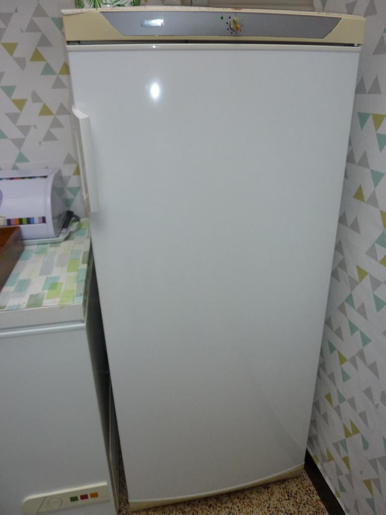 FRIGO ZANUSSI, Electroménager, 200 litres ou plus, 45 à 60 cm, Sans bac à congélation, Comme neuf