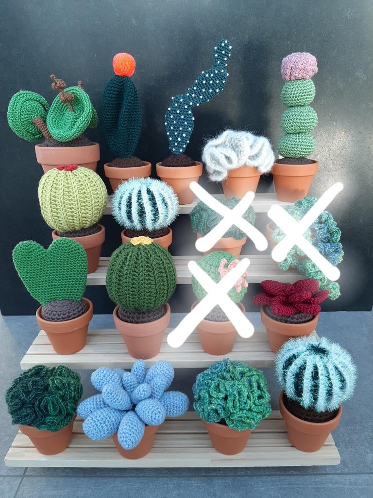Gehaakte cactussen en planten, Hobby en Vrije tijd, Taarten en Cupcakes maken, Ophalen of Verzenden