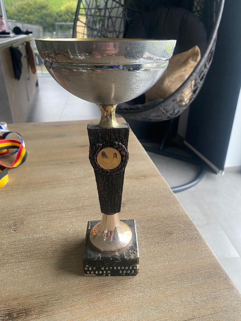 Trofee, Ophalen of Verzenden
