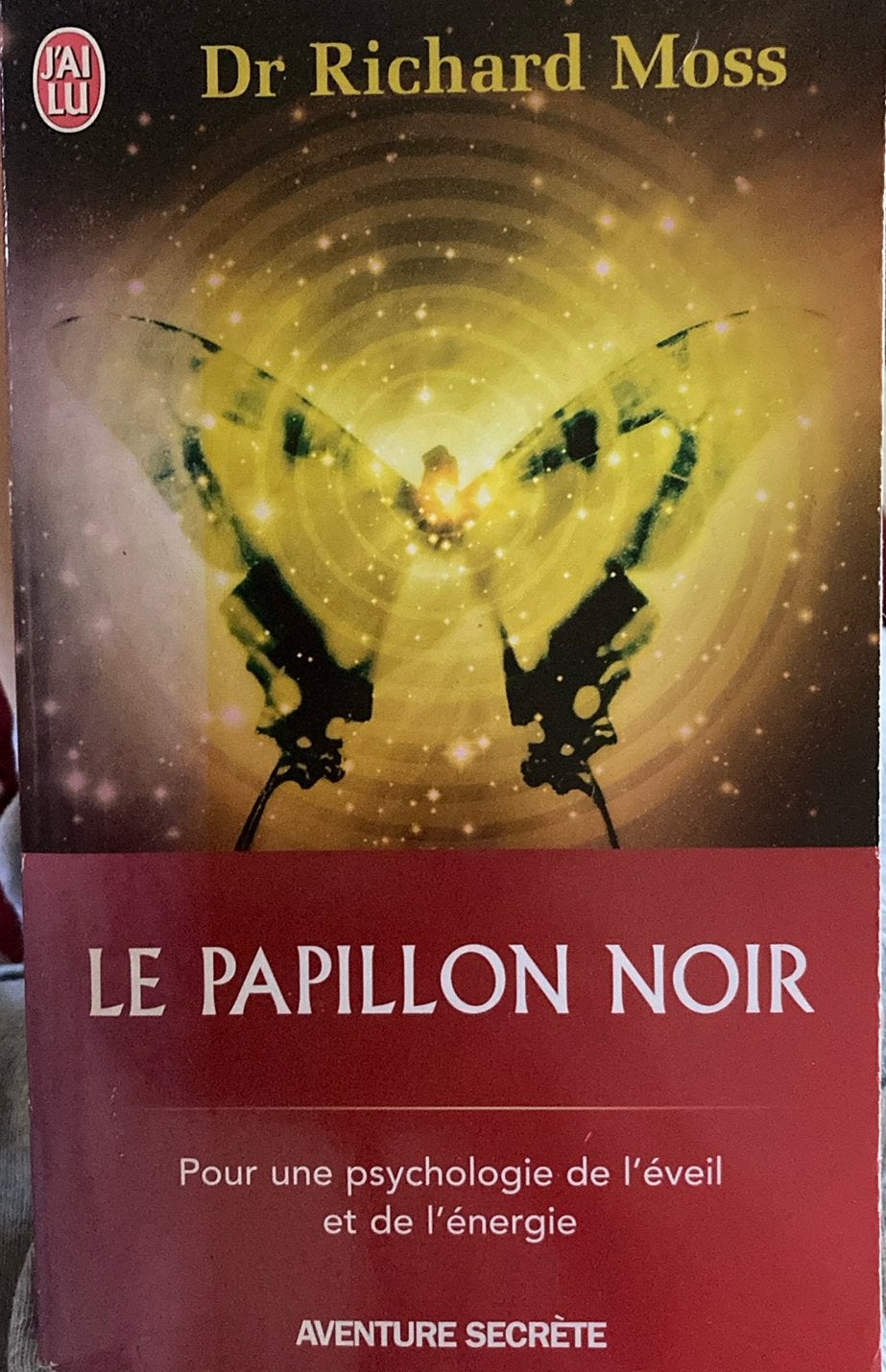 Dr richard moss le papillon noir, Boeken, Esoterie en Spiritualiteit, Ophalen of Verzenden, Zo goed als nieuw