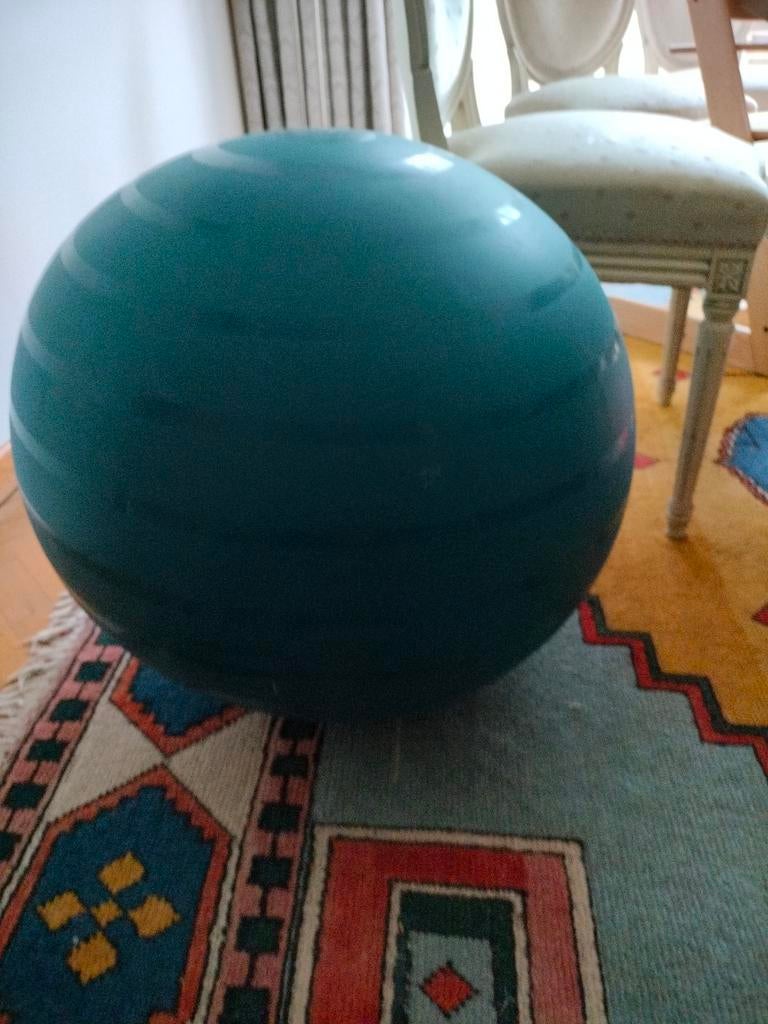 Fitness bal of zwangerschapsbal, Ophalen, Gebruikt