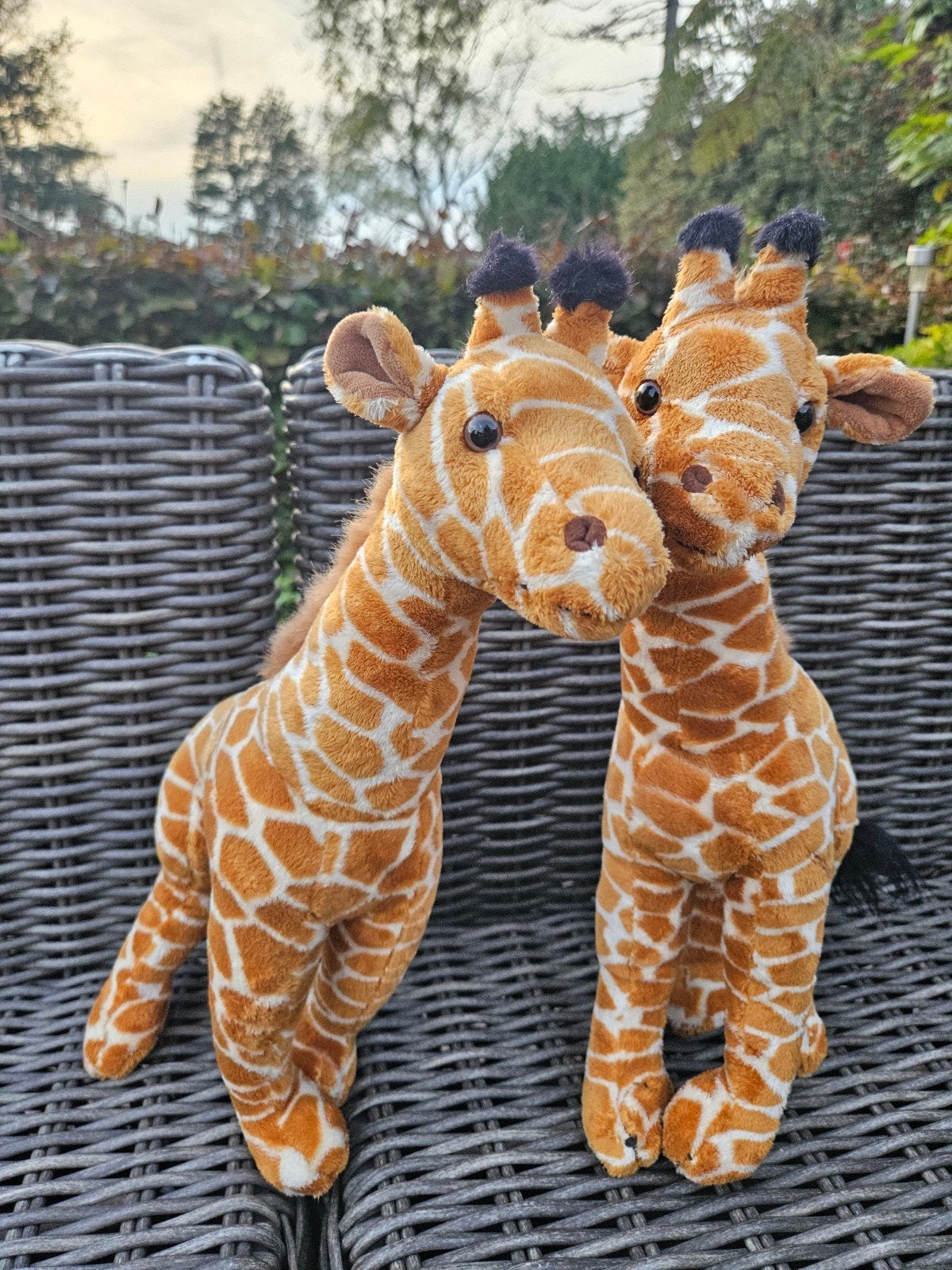 duo giraffen, Ophalen, Zo goed als nieuw