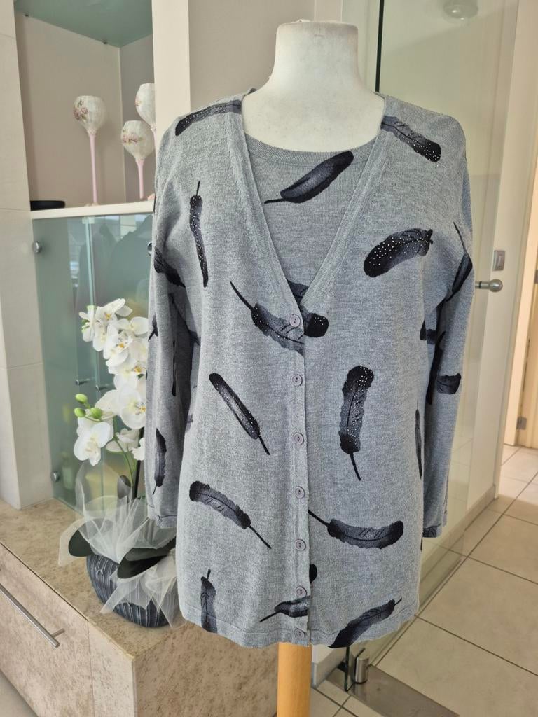 Twinset, Kleding | Dames, Truien en Vesten, Ophalen of Verzenden