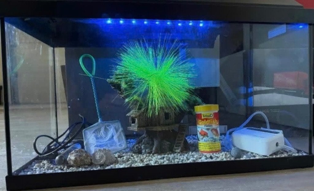 Juwel aquarium, Enlèvement ou Envoi, Chauffage, Decoratie, Juwel