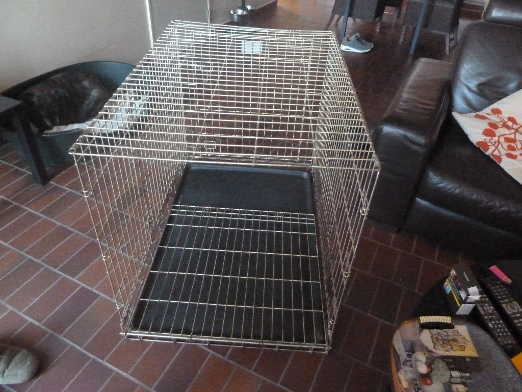 bench hond groot model, Ophalen, Gebruikt