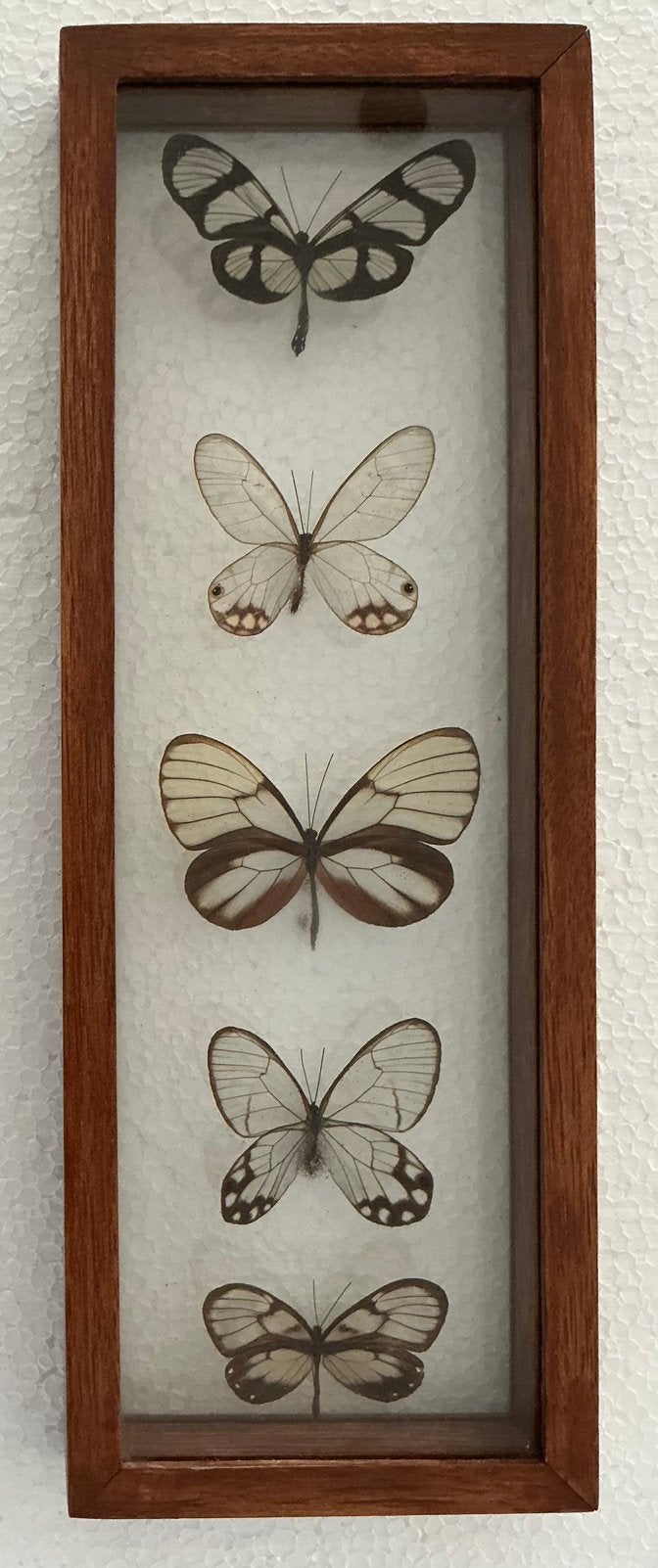 Lijst dubbel glas met doorzichtige vlinders, Ophalen